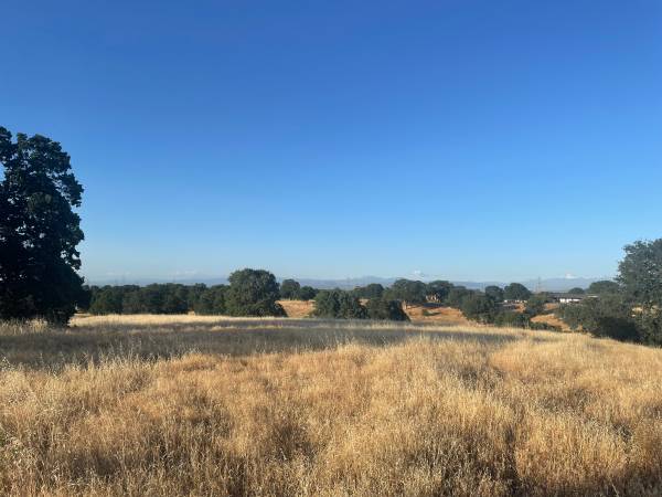 $87,500 INCREDIBLE MT SHASTA VIEWS - 11.89 ACRES - EASY I-5 ACCESS (Cottonwood)63972529462787121