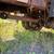 1999 International 4900 18 thumbnail