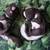 Ceramic Snuggle Baby Skunk Pair 1 thumbnail
