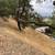 Martinez Lot over 6000 SF + free adjacent free  lot . 7 thumbnail