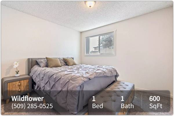 $1,295 / 1br - 600ft2 - Encanto y carácter en cada rincón. ¡Ven a verlo! (Kennewick)63662925961473121