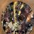 Modern, Original Canvas Art (Shawn Wolter) 3 thumbnail