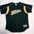 MLB Jersey Lot+ 3 collegiate jerseys 1 thumbnail
