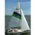 Learn To Sail 5 thumbnail