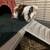 Guinea pigs 2 thumbnail