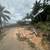For sale Beach Front, Masasa Beach, Tingloy, Batangas 5 thumbnail