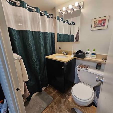 $750 Furnished Master BR in Amenity-packed building (Forest Hills)63930274291715123