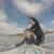 Surfing Lessons in OC! Learn to Surf This Fall! Get 1 Free Lesson! 8 thumbnail