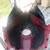 Honda tank plastic 5 thumbnail