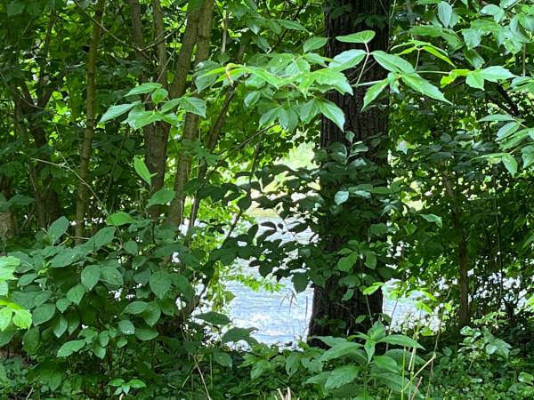 $149,999 / 74052ft2 - River Front Lot Buildable (Maurertown VA)64040028256899123