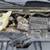 2010 Chevrolet Express Cargo Van Chevy  Full-size Cargo Van 20 thumbnail