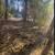 Vacant Lot- BUILDABLE LOT IN LAKE VILLA FOR UNDER $20,000! 3 thumbnail