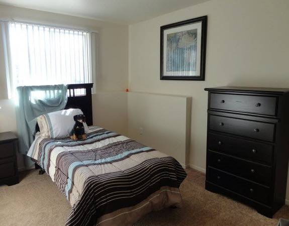 $1,385 / 3br - 1117ft2 - Ubicado en Colorado Springs, Gestión en el lugar, 3 habitaciones63686939950209121
