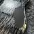 LEFT HANDED Schecter C1 Silver Mountain 9 thumbnail