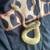Rehoming my Ball Python! 2 thumbnail