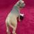 Bull Mastiff Figurine by Conversation Concepts 2 thumbnail