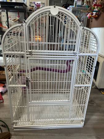 Bird cage 1
