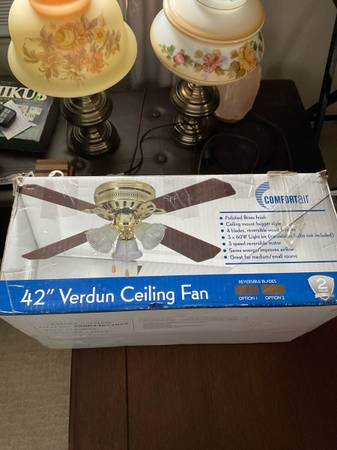 42” Ceiling Fan 1