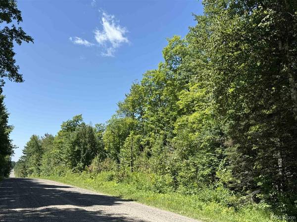 $59,000 33 Acres wooded recreational land MLS 50183350 (Crystal Falls)64151608458881124