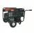 DAYTON Portable Generator: Conventional, Gasoline, 6,500 W 1 thumbnail