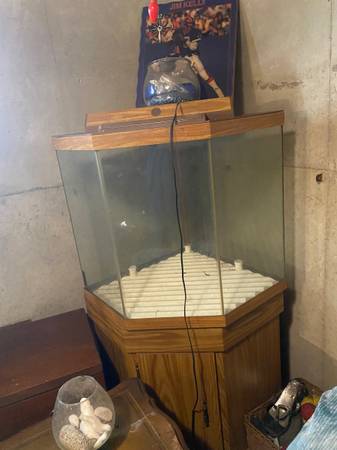 Corner fish tank 1
