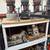 9/19 & 9/20 10am-1pm Pop Up Concord Antique Estate Sale Garage Sale 6 thumbnail