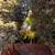 Exceptional Studio Cottage in Professorville/Downtown Area. 12 thumbnail