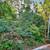 Almost 1/3 of an acre up above the Russian River! 3 thumbnail