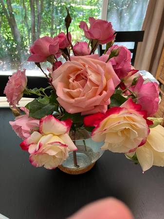 Personal aide/happy client 1