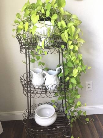 Plant Stand 1
