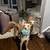Dogwalker/Overnight Housesitting - Beloved dog & cat whisperer, is me! 3 thumbnail