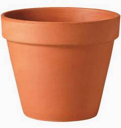Large terracotta plant pot 1