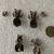 Vintage Navajo Sterling Silver and Turquoise bugs 3 thumbnail
