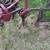 Super C two row front and rear cultivators 5 thumbnail