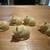 Franklin Mint Netsuke Sleeping Cat Figurines — Set of 5 2 thumbnail