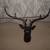 Cast Iron Deer Head 1 thumbnail
