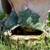 Homestications 1999 vintage garden fairy with wings & flower pot 3 thumbnail