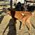 Bottle calf 3 thumbnail