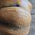 Big Sky Carvers Wood Purdy Dog 5 thumbnail