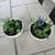 Pair Of Polka Dot Garden Pots With Succulents 2 thumbnail