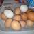 Farm fresh eggs 2 thumbnail