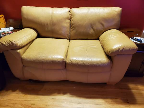 Leather Loveseat 1