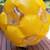 Gigaball Giant Zorb 51" Inflatable Hamster Style Rolling Kids, Adult 4 thumbnail