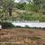 Forestry mulching/ Land Clearing (956)715-7991 6 thumbnail