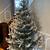Flocked Christmas Tree (snow covered) 1 thumbnail
