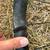 BROKEN Bontrager Line Elite 30 with Good Hub 2 thumbnail