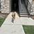 Rehoming Great Pyrenees Mix 8 thumbnail