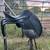 saddle with bridal and saddle pads 1 thumbnail