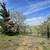 Remarkable 5 acre lot with panoramic mountain views 2 thumbnail
