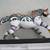 The Trail Of Painted Ponies Many Tribes #12228 2006 By Linda Hassett 10 thumbnail